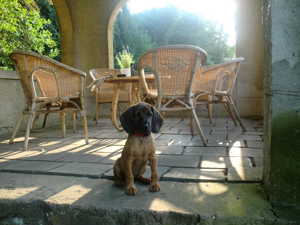 Jagdschloss-Bellin Bellin  Esterno foto